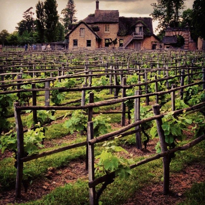 vineyards at versailles