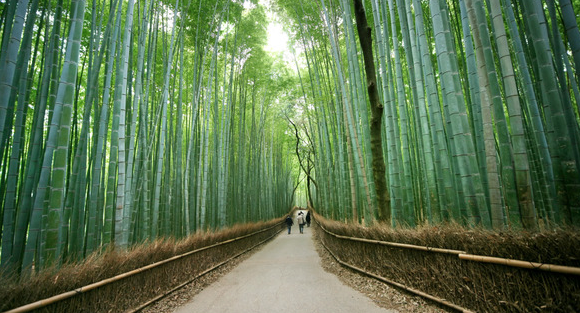 Screen Shot 2015-05-08 at 1.43.20 PM