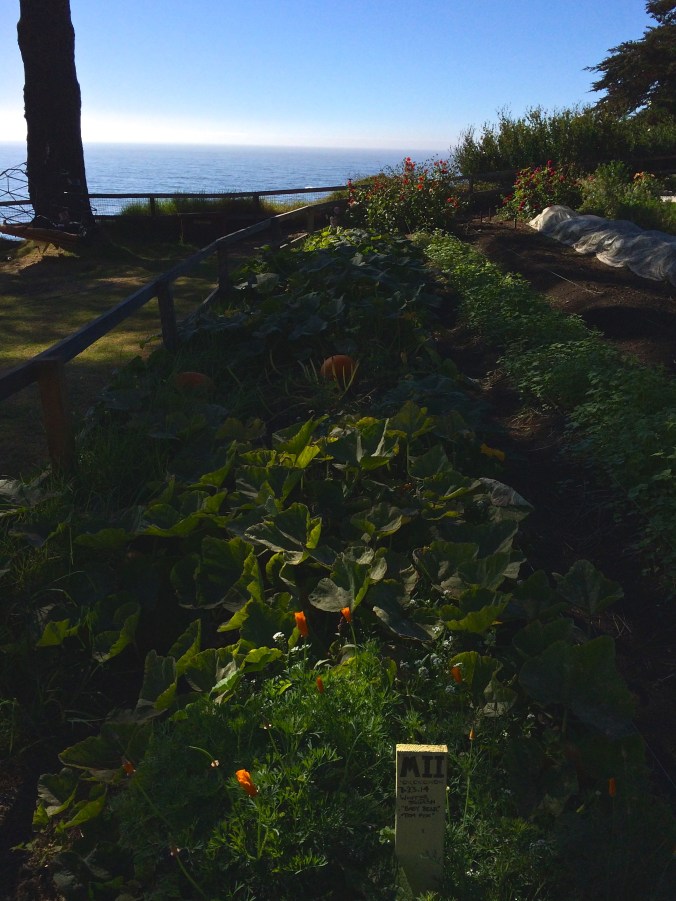 esalen gardens
