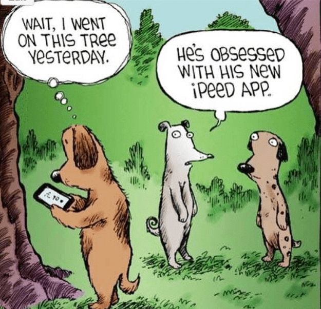 Screen Shot 2015-06-17 at 12.35.05 PM