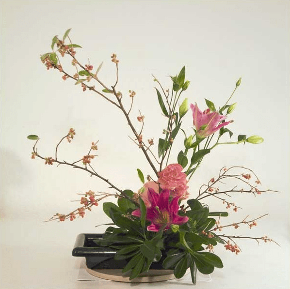 Screen Shot 2015-07-28 at 11.58.48 AM