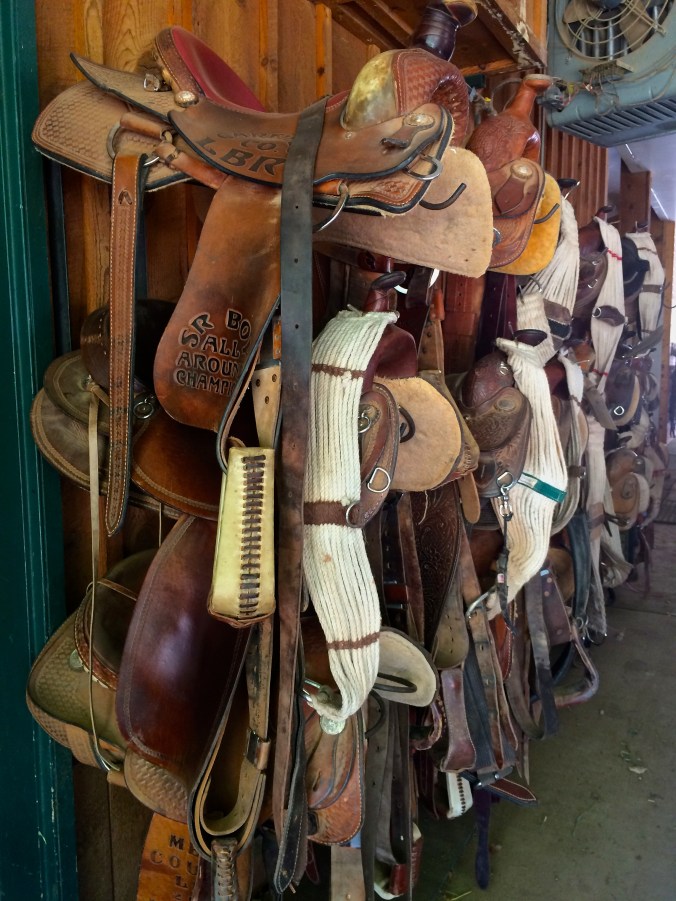saddles and such