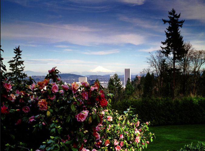 Screen Shot 2015-11-17 at 5.08.09 PM