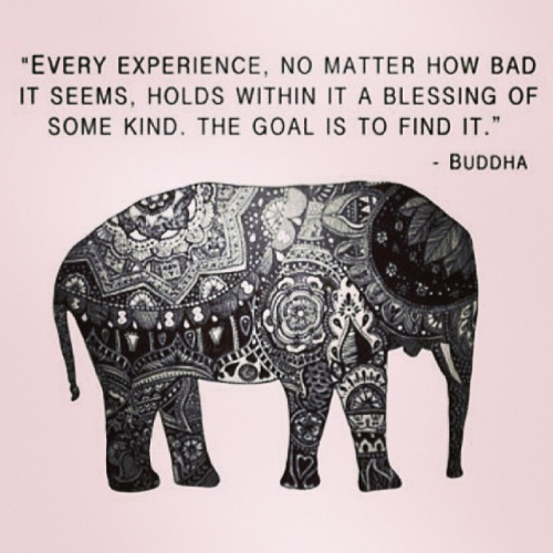 tumblr_n4y3ndKWvb1tzc3cio1_500