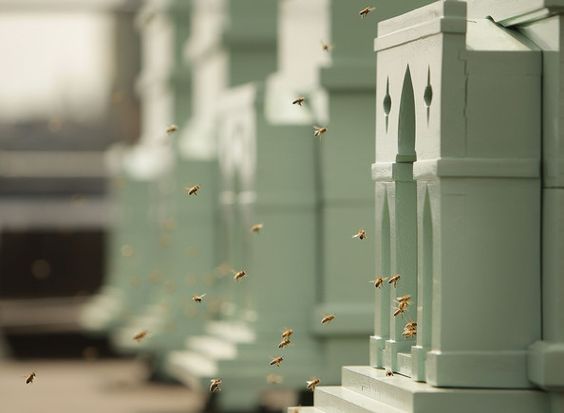 4aa4138b616dc38e0d2d860432fa471e