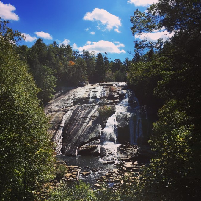 dupont-forest-falls