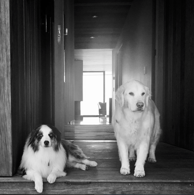 Screen Shot 2017-09-23 at 1.28.44 PM