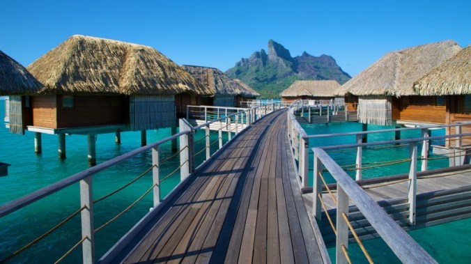 W0C8469-e1388980289299