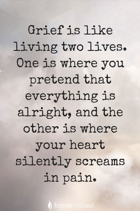 ed2408ff7bc04d340cd50431e55669a1